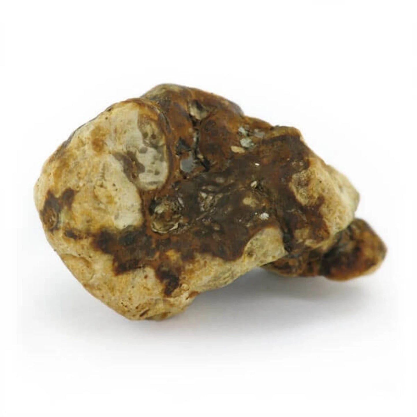 Atlantis Magic Truffles - 15g