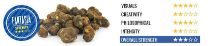 Fantasia Magic Truffles - 15g